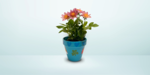 Pots, Pours and Platters